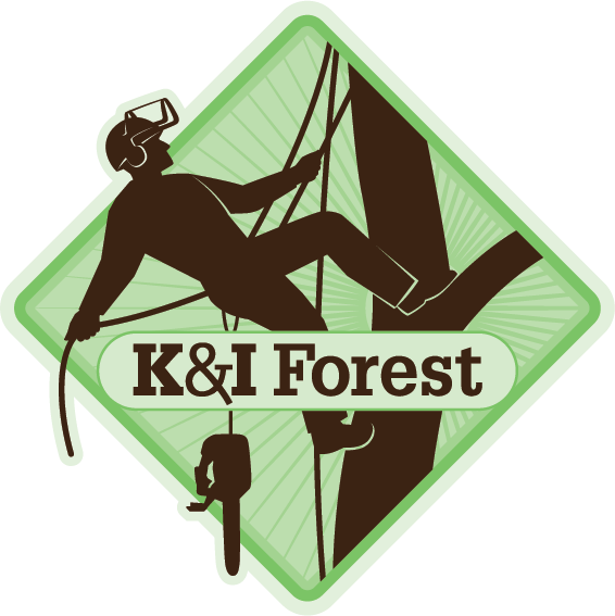 K&I FOREST